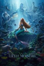 Nonton Film The Little Mermaid (2023)