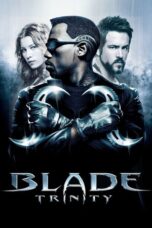 Nonton Film Blade: Trinity (2004)