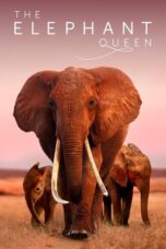 Nonton Film The Elephant Queen (2019)